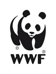 WWF RIMINI ESCAPE='HTML'